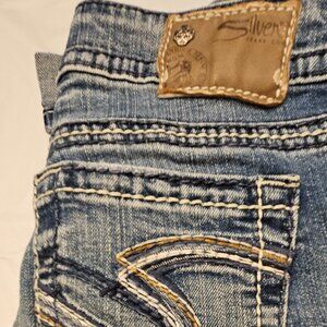 Silver Capris Size 26